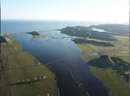 Wai Māori Taonga